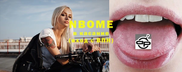 прущие грибы Алзамай