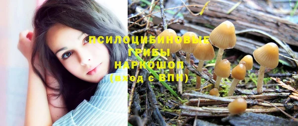 мяу мяу кристалл Арсеньев