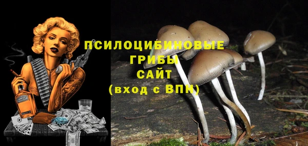 каннабис Алексеевка