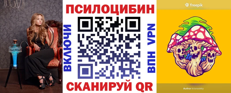 Псилоцибиновые грибы Cubensis  Строитель 