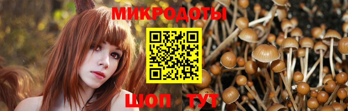 Галлюциногенные грибы MAGIC MUSHROOMS  Псилоцибиновые грибы Psilocybine cubensis  Строитель  Вход с VPN 
